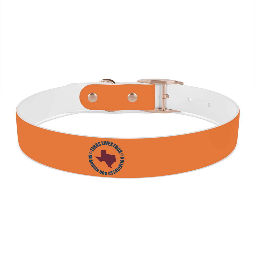 Orange Logo Dog Collar — Texas Livestock Club Pet Collar