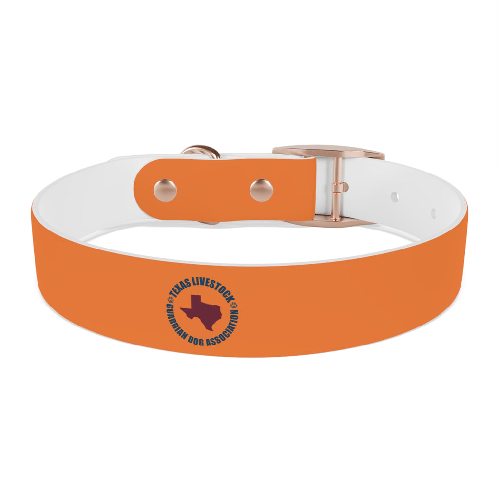 Orange Logo Dog Collar — Texas Livestock Club Pet Collar