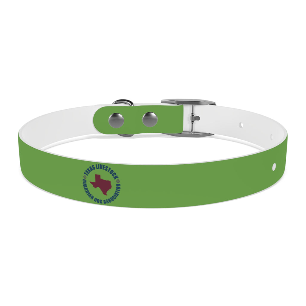 Dog Collar