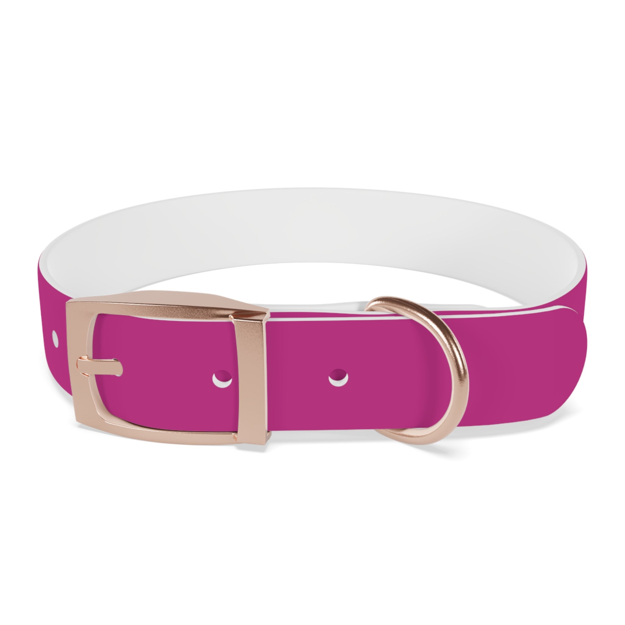 Pink Leather Dog Collar — Texas Livestock Show Logo