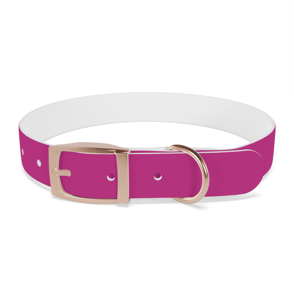 Pink Leather Dog Collar — Texas Livestock Show Logo